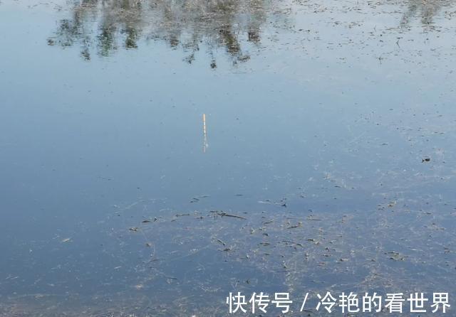 为什么野钓鲫鱼不建议浮钓?看完这几条理由,你就明白了
