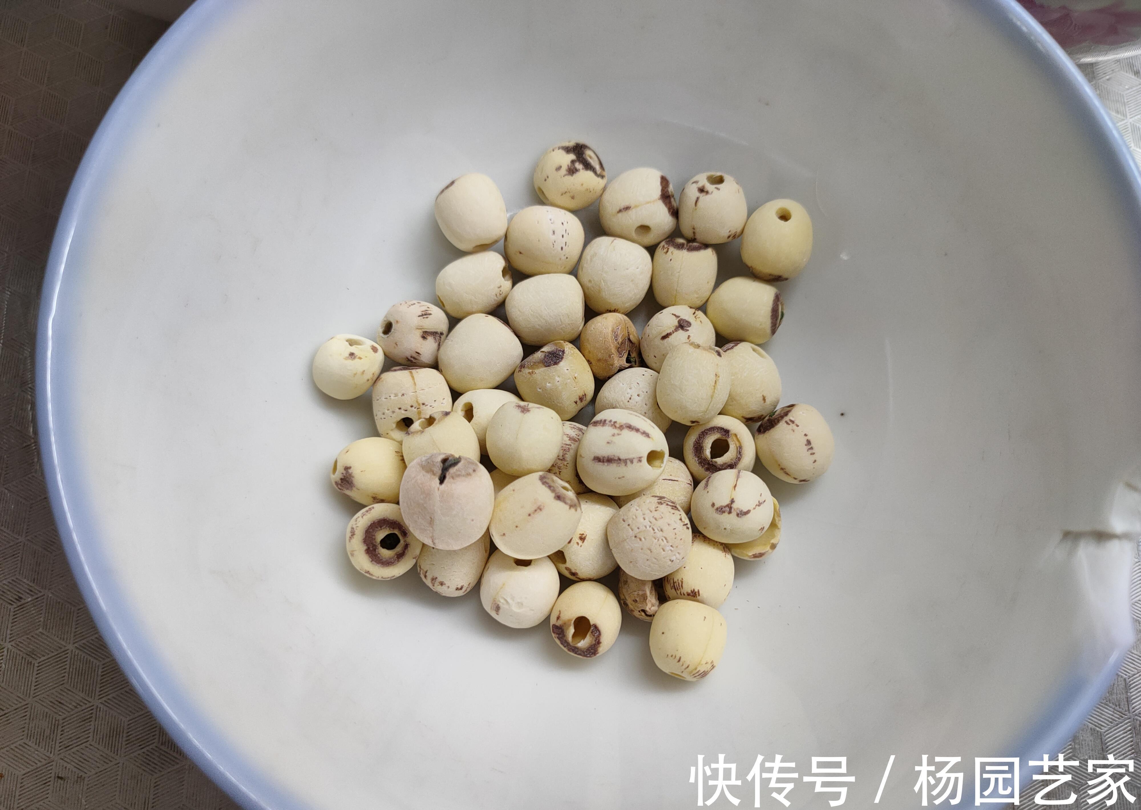 食物|初秋，3样白色食物一起放入高压锅，出锅香气四溢，滋润去燥