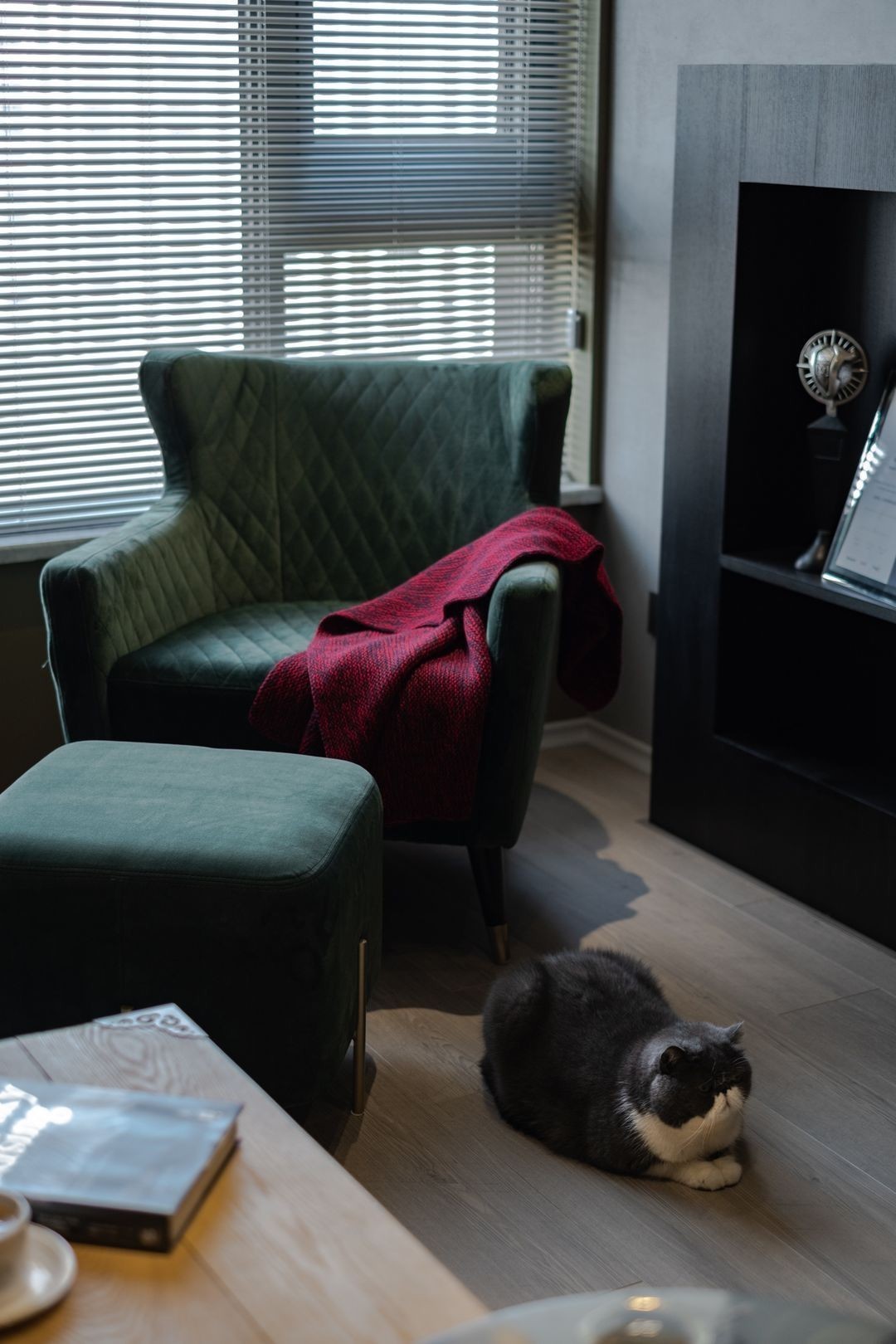 墨绿色|七旬老夫妻的老房改造,观念前卫让人称赞,和儿子的想法不谋而合