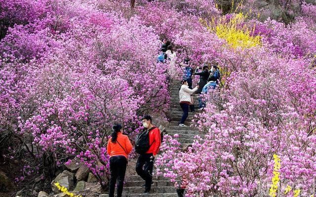 出炉|全国山岳型景区百强名单出炉 山东这5家景区上榜