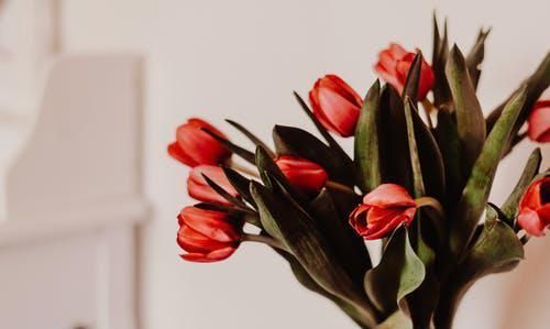 大事者|但凡真正能成大事的人,都有大格局