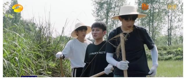 何炅|《向往5》一期十位客人，维嘉到来不仅为干活，还有一个暖心目的