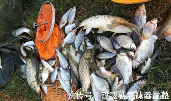 冬季钓鲫鱼,先别着急下竿,两大策略帮你找鱼窝,不愁钓不到鱼!