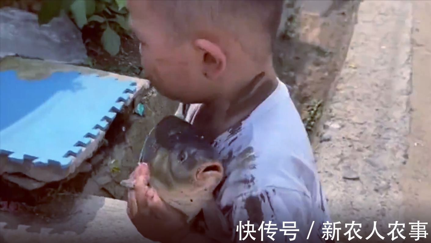 萌娃|萌娃不想鱼被卖掉，抱起来就往家跑，一系列神操太有爱了