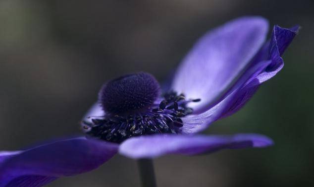 11月2日 11月11日财运最喜人的三大生肖 全网搜 11月2日 11月11日财运最喜人的三大生肖 全网搜