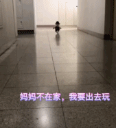 |搞笑GIF段子:朋友:我女朋友