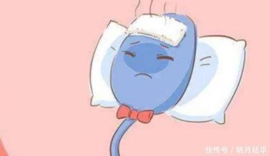 女性|进入女性体内,没有结合成功的“小蝌蚪”,最后都到哪里去了?