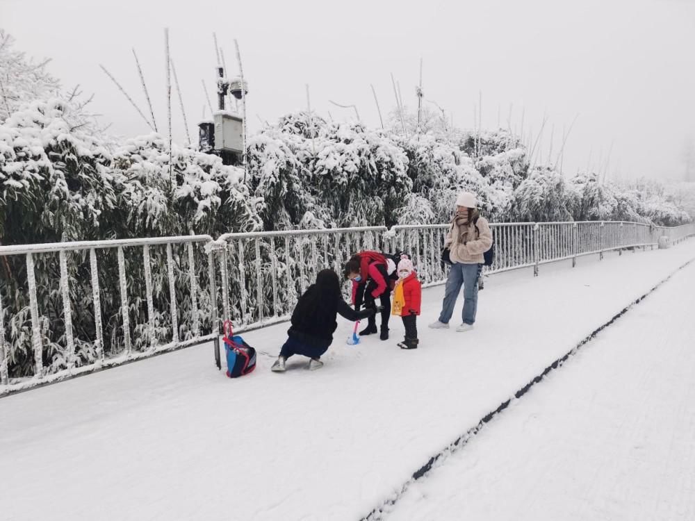 踏雪|金佛山再降大雪，游客踏雪出游，畅享冰雪温泉之乐