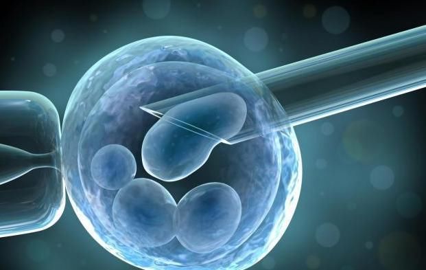 升高|现在女婴出生率大大升高?产科大夫:这些知识,备孕夫妻务必了解