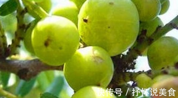 年轻|女性常吃以下食物,肌肤保持年轻红润,不长皱纹,抗衰老,更年轻