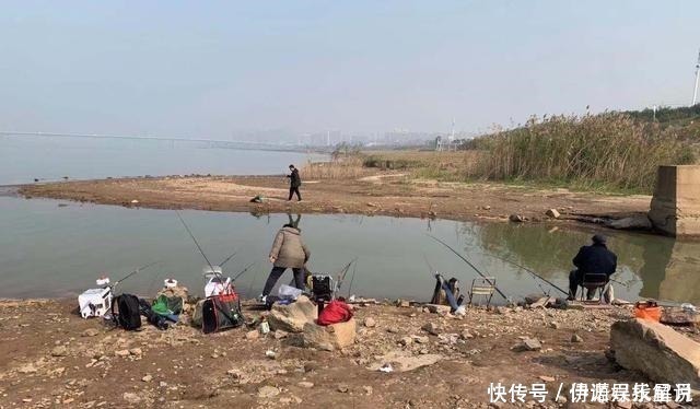 钓鱼|钓鱼三大策略,懂技术的人都在遵循,钓鱼新手必备!