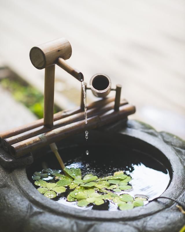 高僧回答|4首禅诗,既简单又不简单,人生的智慧都在这里了