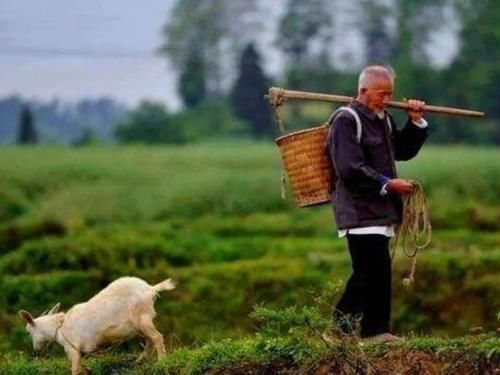 俗语说|俗语说“三更莫贪色”,其实下半句更重要,能做到的人太少了