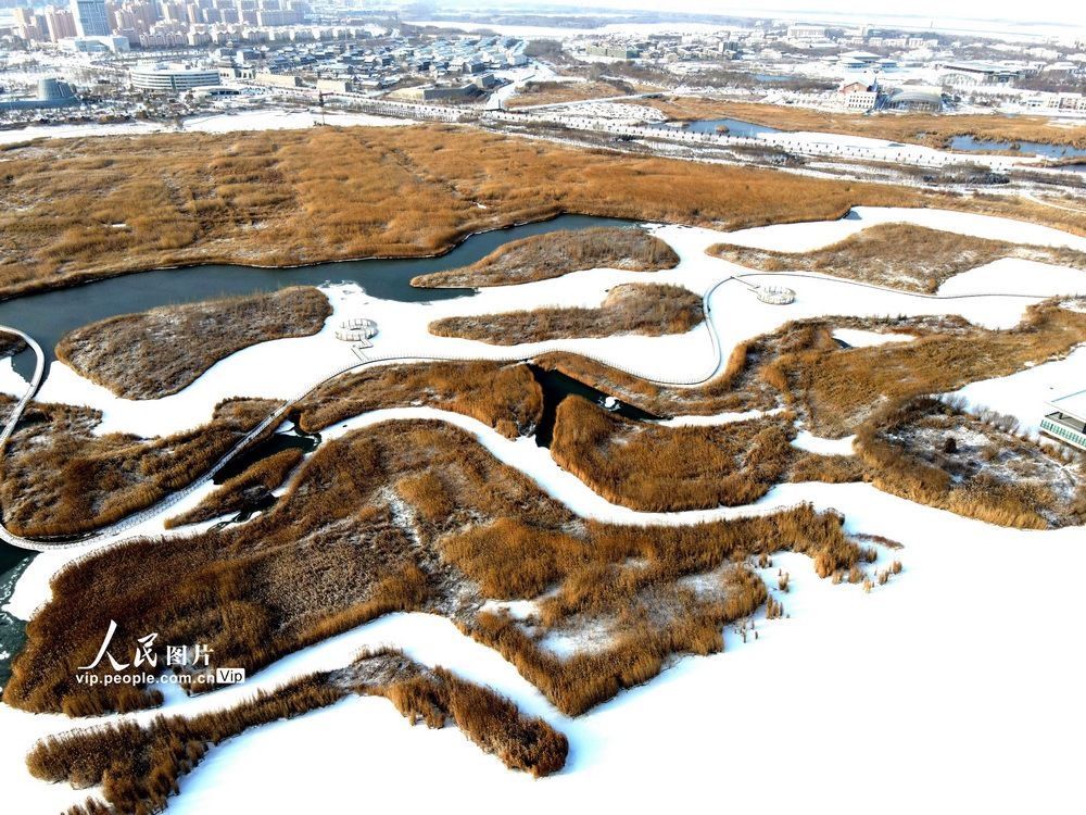 张掖|甘肃张掖：雪落湿地景色美