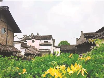 中年|国内游复苏加速 春游正当时