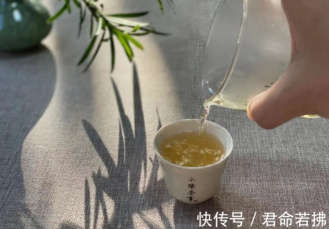 涨知识&新白茶为什么会有青味?这是好是坏,看完涨知识了