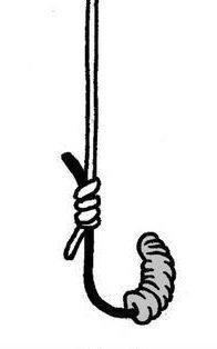 钓鱼|蚯蚓钓鱼效果好,但你挂对了吗,不同挂法效果不同