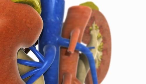 医生|降压药吃了10年，却诱发肾衰竭？医生：犯了3个错误，别疏忽大意