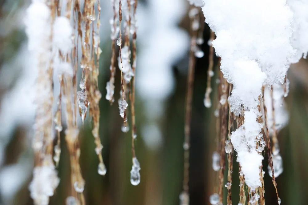 秘密|这个秘密只告诉你，刷爆朋友圈的广元雪景，都在这里了！