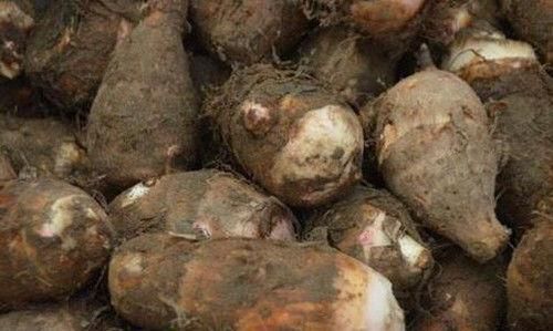 好处|每天吃点芋头,坚持15天,三大好处不请自来,早知早好