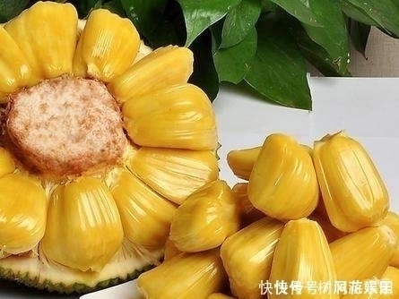 女性不想老太快,要常吃此物,皱纹少了,皮肤细腻了