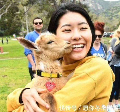 心理健康|山羊瑜伽是5件事的理由以及为什么应该尝试?