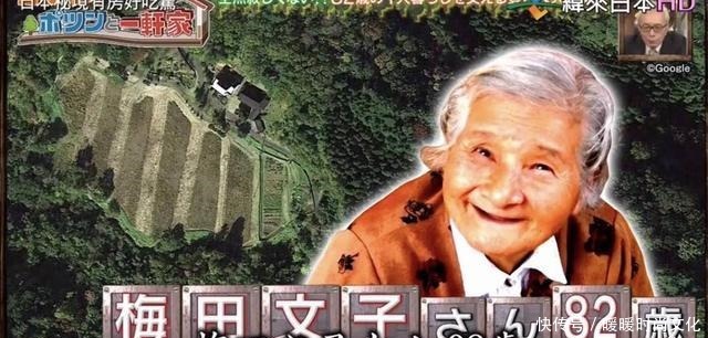 房好吃惊|23年种5700棵树 这个老人把荒山建成了森林公园