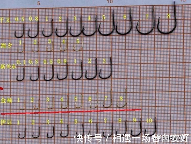 用袖钩钓鱼总跑鱼不了解袖钩的用途，鱼口再好也难入篓