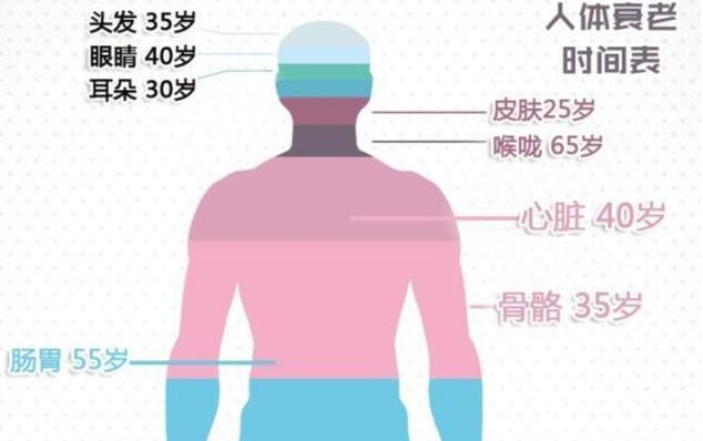 跑步|男人40岁以后,为何提倡要多运动?