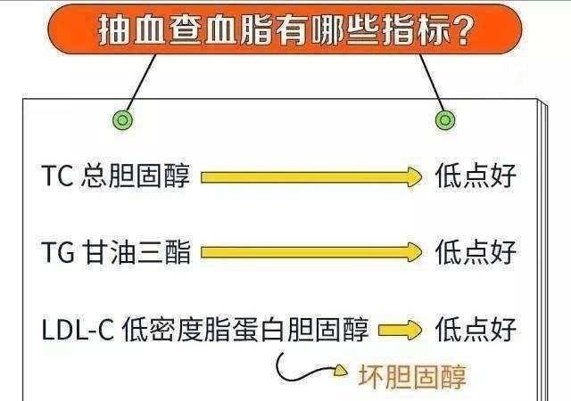 升高|血脂升高是肉吃多了辟谣并非如此！告诉您血脂升高的真相！
