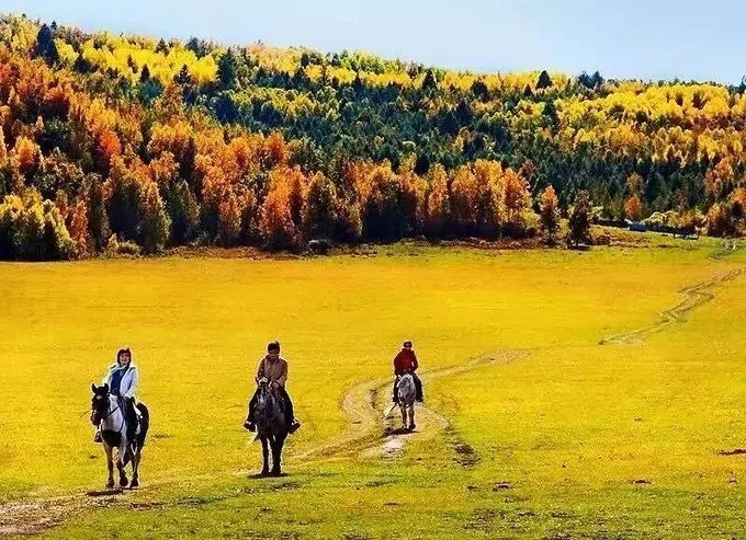 补水|立秋养生：润燥而不助湿