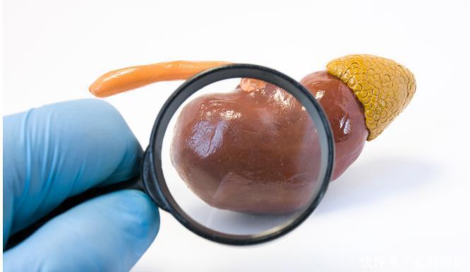 预防糖尿病肾病只要控制血糖?错了,这5大误区,不要再中招了