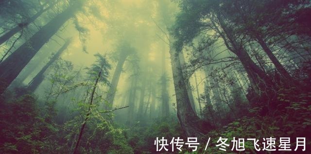 前任|心已冷，相思无归，彼此遗忘，心有不甘，前任不回