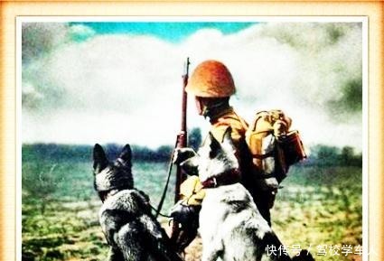 侵略势力|韩复榘为什么会被处决20年后,李宗仁这样回忆