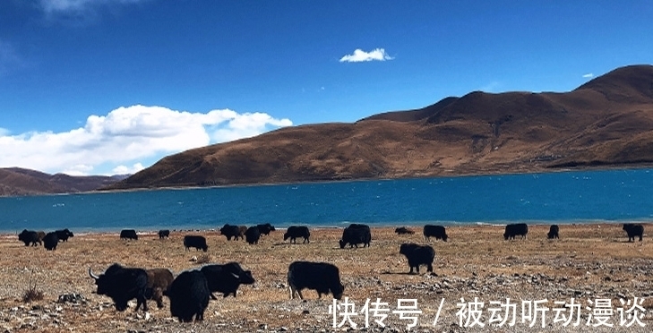 商家|直播间牛肉干销量见涨，却惨遭网友退货，背后原因令人深思