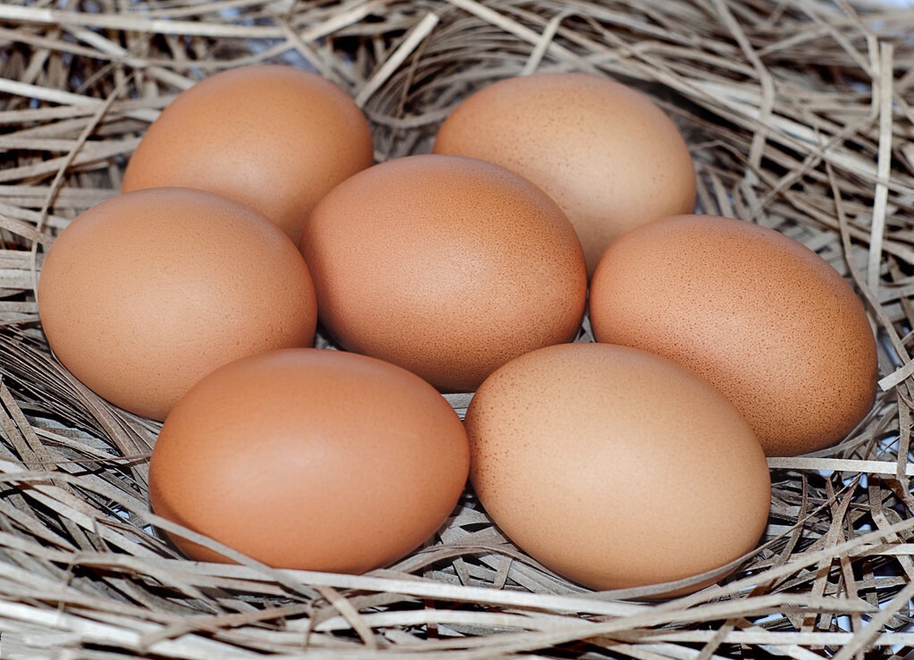 高血压|高血压人吃鸡蛋到底好不好,吃了鸡蛋血压会升高吗医生说明白!