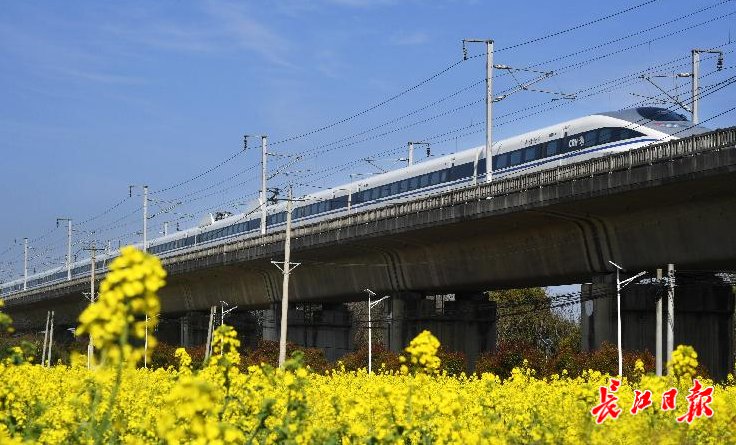名村|武汉这些地方上榜，湖北命名表彰一批旅游名镇、旅游名村和旅游名街