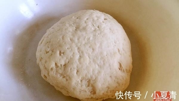 发酵|天一热, 全家就都馋这道菜, 做好后连饭都省了, 一大锅吃的特干净