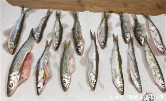 煎鱼时,一定记得不要马上下锅煎,学会2个要点,鱼不粘锅不破皮