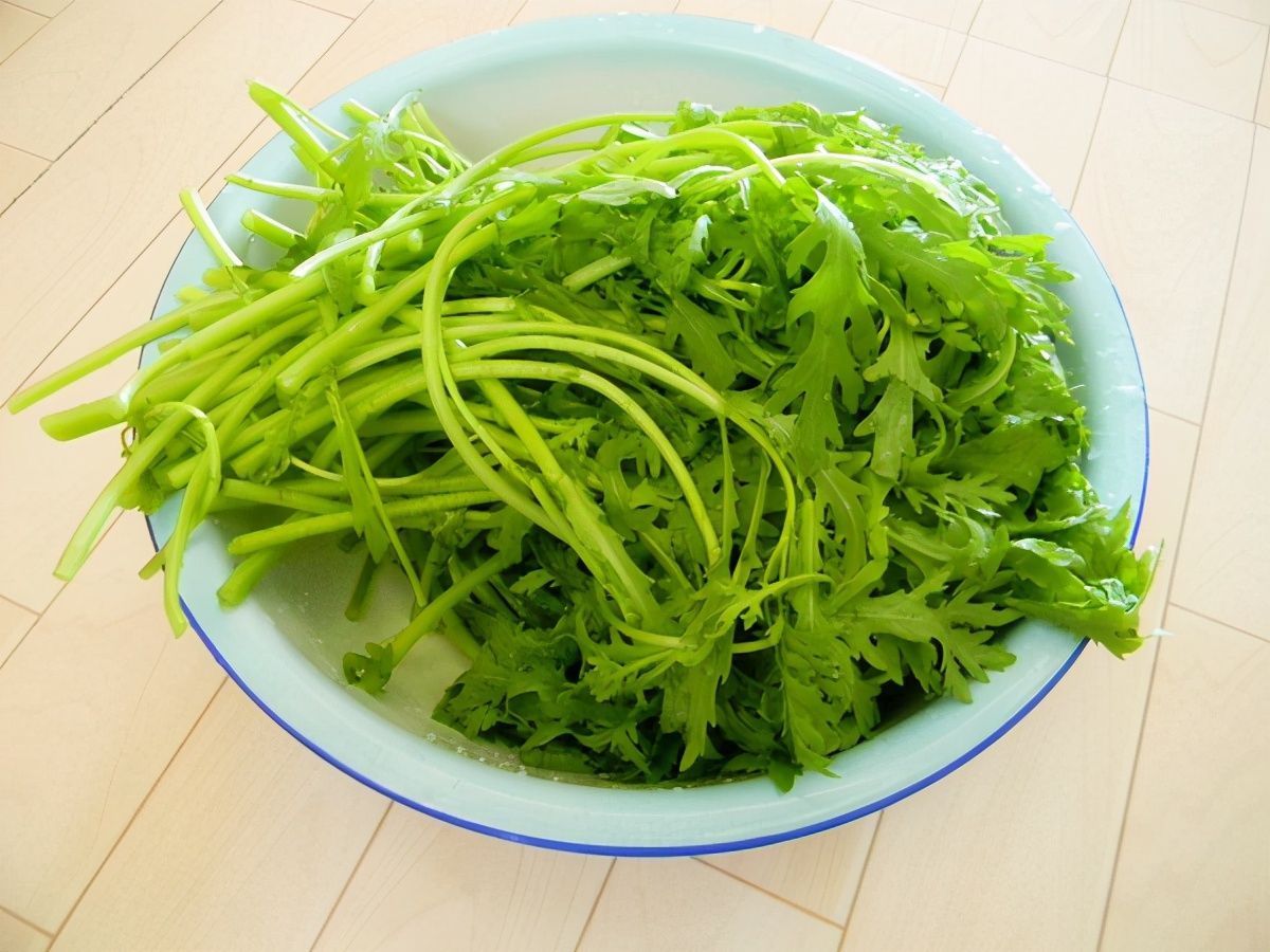 咳嗽痰多吃这蔬菜特管用,才2块钱1斤,医生不会轻易告诉你