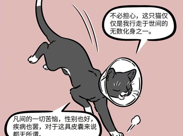 分身|非人哉:九月带着徐哼唧打疫苗,观音再度化身为猫,已被绝育