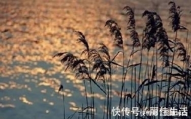 古诗词#十五首描写小草的古诗词，为君闲暇助兴，茶余饭后解闷