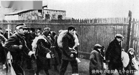 奇迹|背锅侠“犹太人”:曾被屠杀600万人,如何奇迹般崛起?