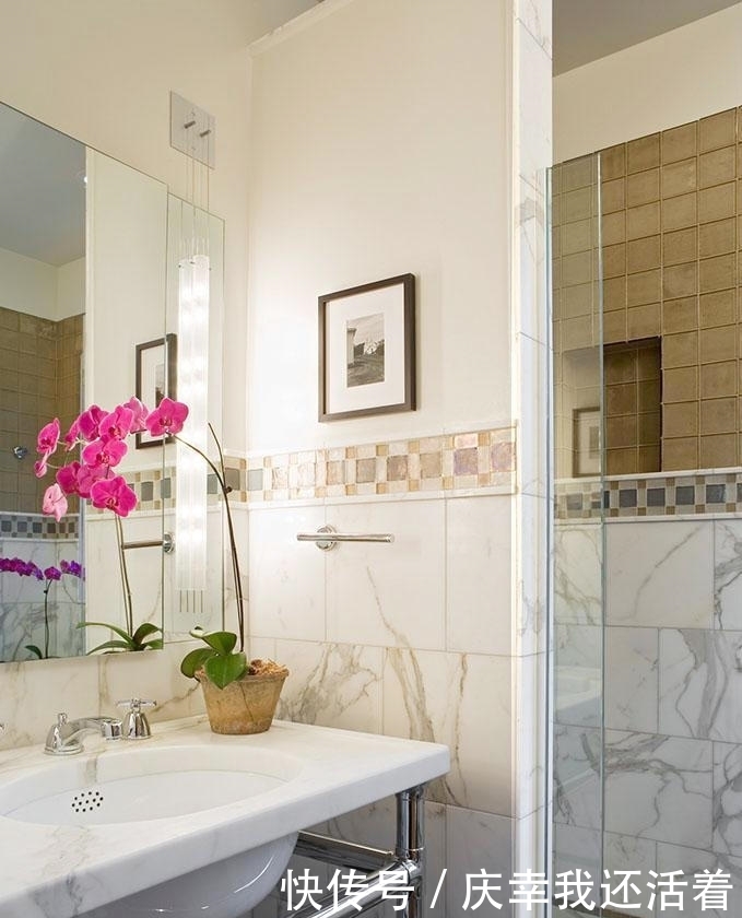 媳妇儿,你把卫生间都种成了花园,人家都不好意思在里面蹲坑了!