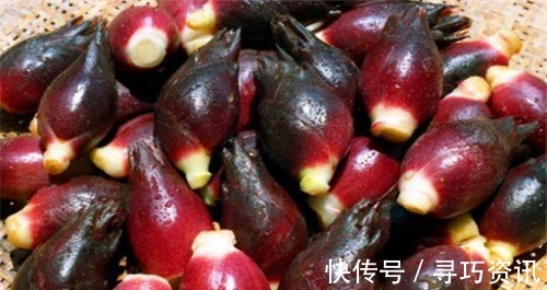 润肠|想长寿得会吃,常吃4种食物,健胃润肠,活血补气,有益健康