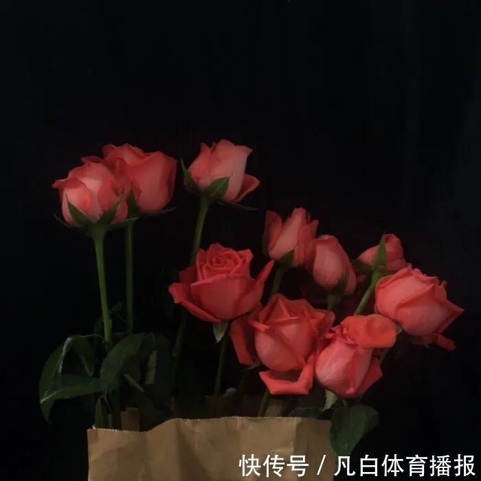 背景图|神仙·背景图朋友圈封面丨望断斜阳人不见,满袖啼红