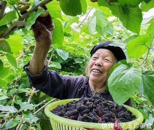 建议中老年：少吃猪羊肉，对自己好点多吃这几样，腿脚有劲不显老