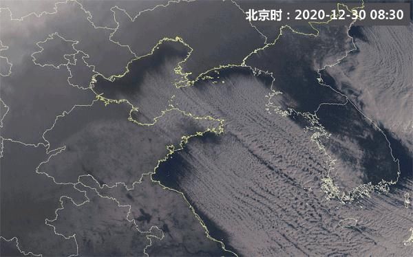 沙塵 “頂流天團(tuán)”，喜添新成員！