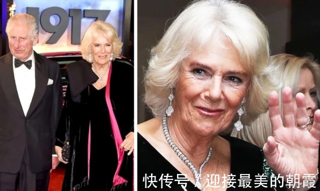 蛇形项链 卡米拉的蛇形项链20年前做情人时查尔斯送的,蛇蝎气质一目了然