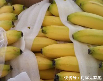 会吃的人才健康,常吃以下食物,补血益气,滋补身体,气色更红润